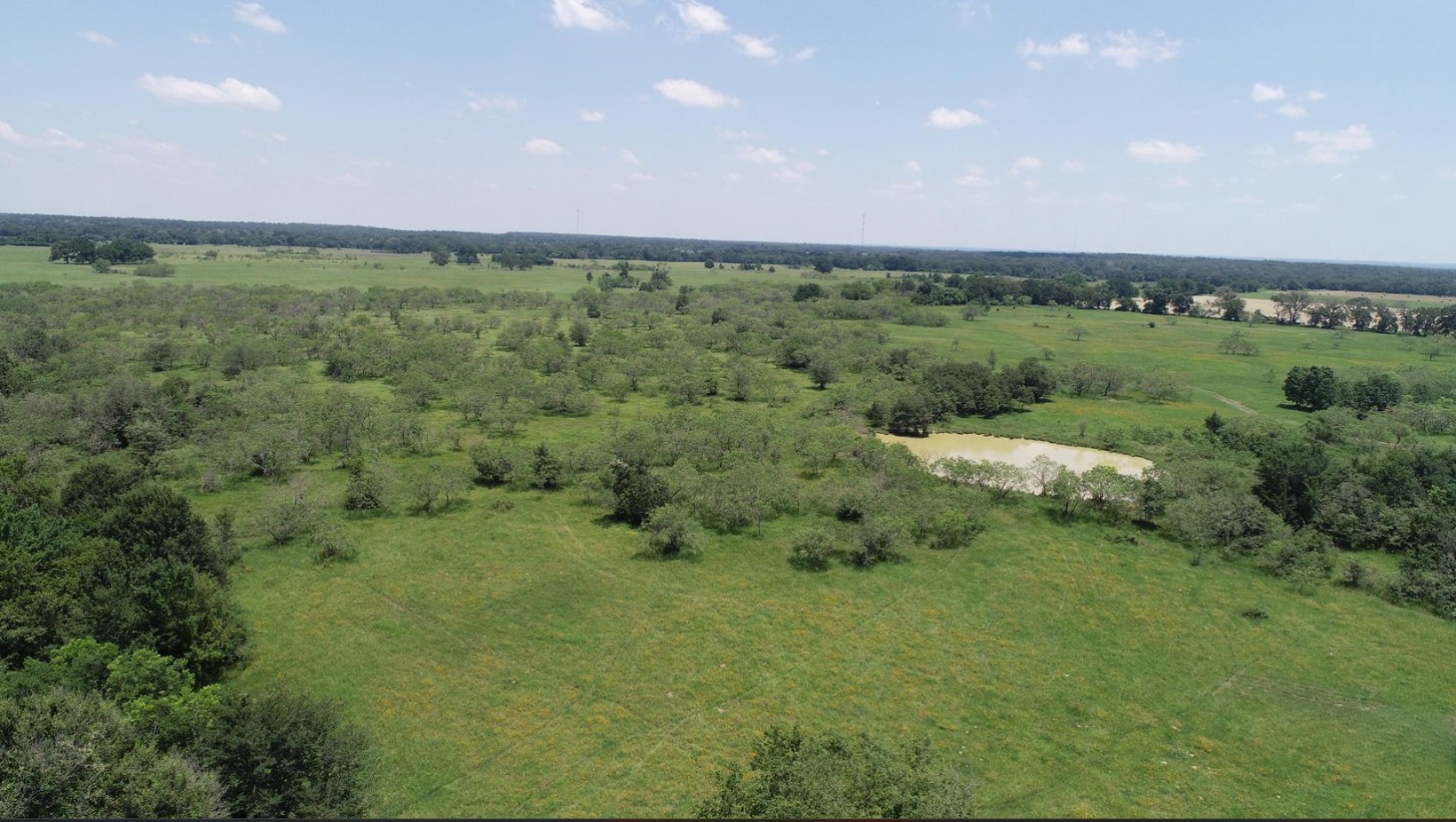Ranches of Gause Lot 1B, Gause